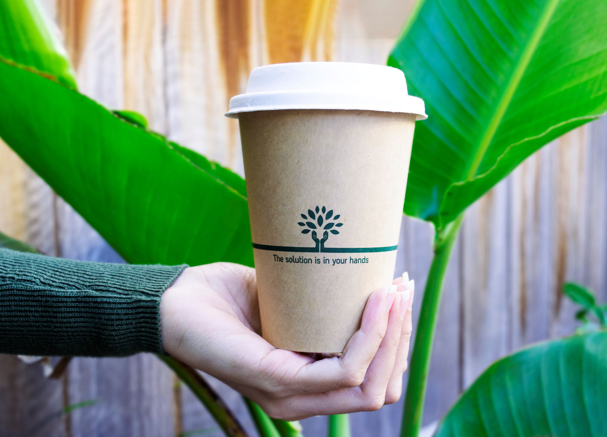 ASCA BLOG: We need to talk about takeaway cups - Australian